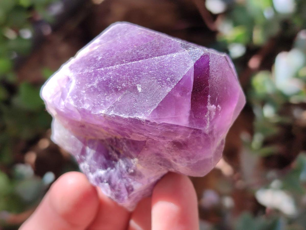 Natural Jacaranda Amethyst Single Crystals x 12 From Mumbwa, Zambia