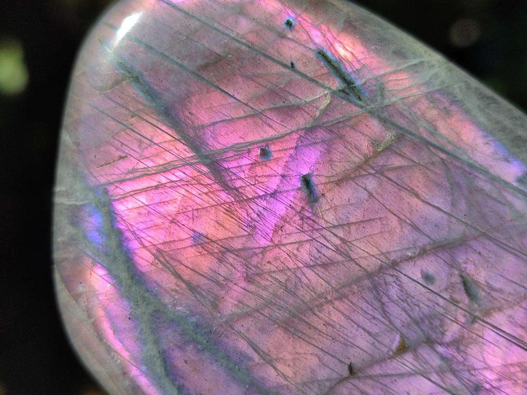 Polished Rare Purple Sunset Flash Labradorite Standing Free Forms x 4 From Madagascar