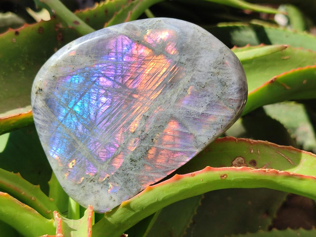 Polished Rare Purple Sunset Flash Labradorite Standing Free Forms x 4 From Madagascar