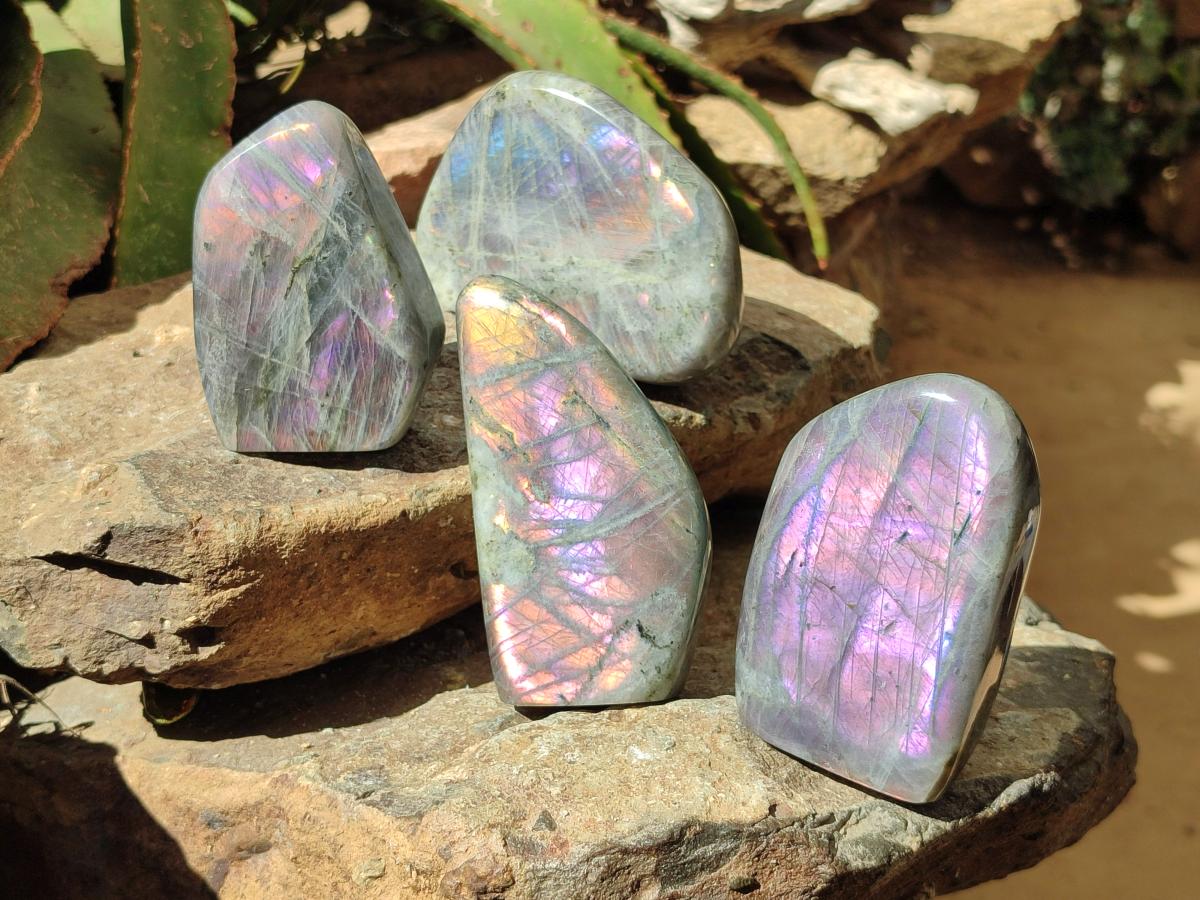 Polished Rare Purple Sunset Flash Labradorite Standing Free Forms x 4 From Madagascar