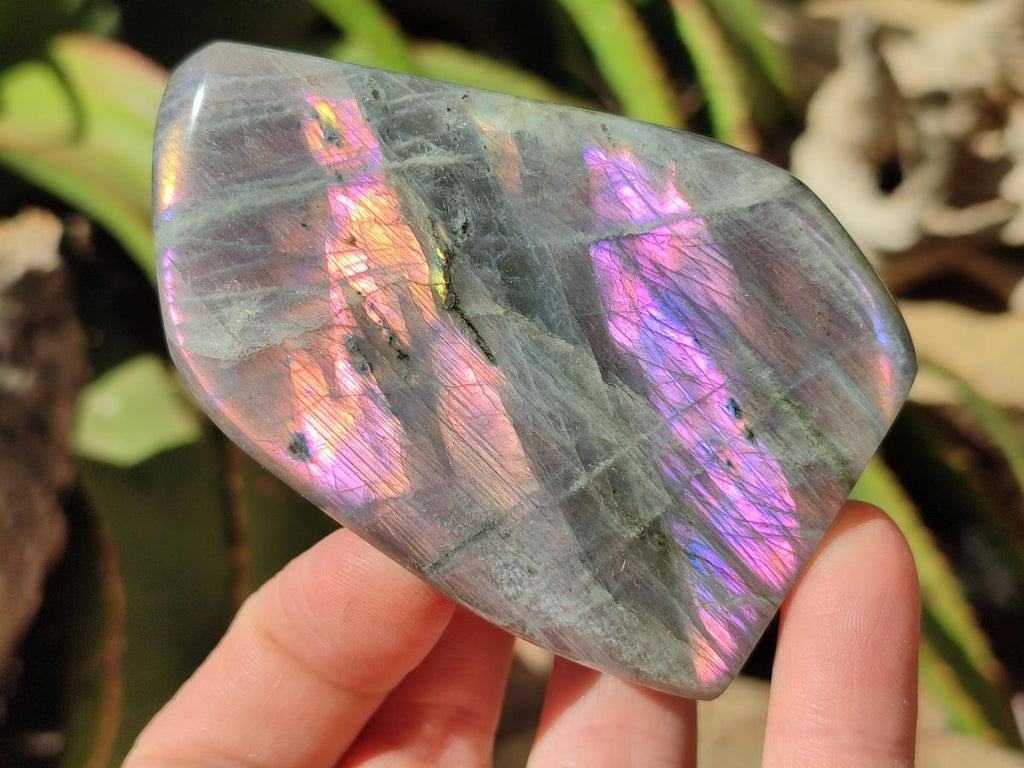 Polished Rare Purple Sunset Flash Labradorite Standing Free Forms x 4 From Madagascar