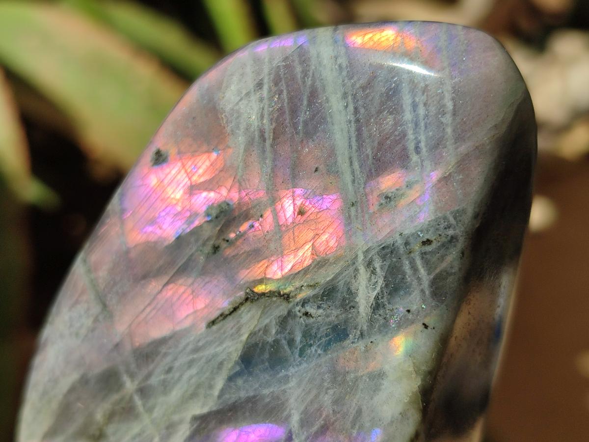 Polished Rare Purple Sunset Flash Labradorite Standing Free Forms x 4 From Madagascar