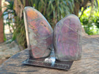 Polished Rare Purple Sunset Flash Labradorite Standing Free Forms x 4 From Madagascar