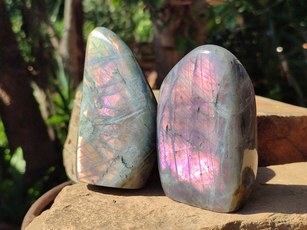 Polished Rare Purple Sunset Flash Labradorite Standing Free Forms x 4 From Madagascar