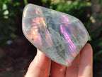 Polished Rare Purple Sunset Flash Labradorite Standing Free Forms x 4 From Madagascar