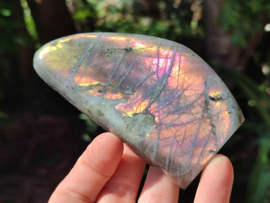 Polished Rare Purple Sunset Flash Labradorite Standing Free Forms x 4 From Madagascar