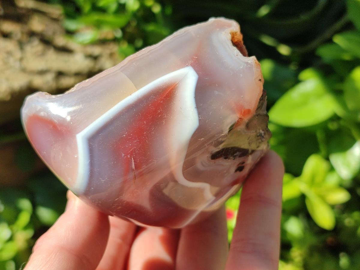 Polished One Side Red Shashe River Agate Nodules x 6 From Shashe River, Zimbabwe