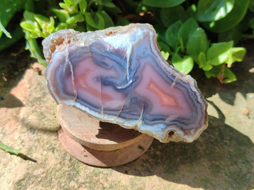 Polished One Side Red Shashe River Agate Nodules x 6 From Shashe River, Zimbabwe