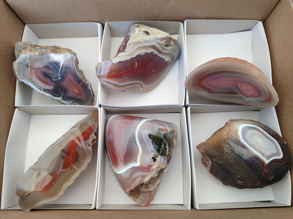 Polished One Side Red Shashe River Agate Nodules x 6 From Shashe River, Zimbabwe