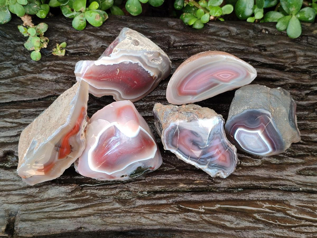 Polished One Side Red Shashe River Agate Nodules x 6 From Shashe River, Zimbabwe