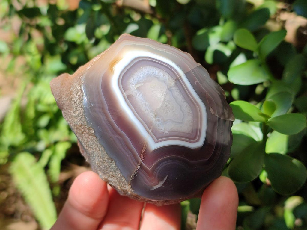 Polished One Side Red Shashe River Agate Nodules x 6 From Shashe River, Zimbabwe