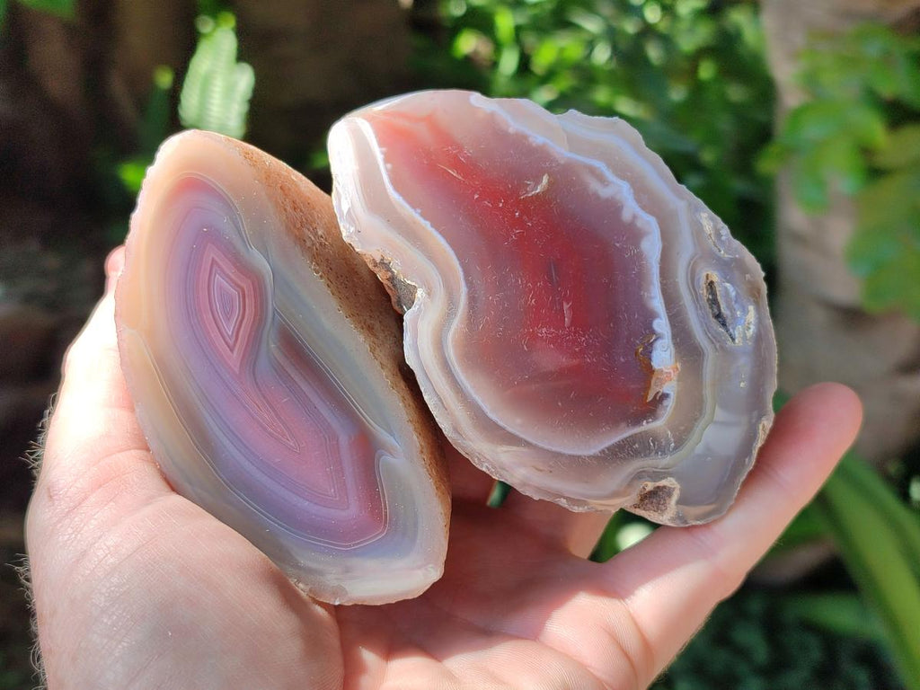 Polished One Side Red Shashe River Agate Nodules x 6 From Shashe River, Zimbabwe