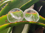 Polished Clear Quartz Crystal Galets x 24 From Madagascar