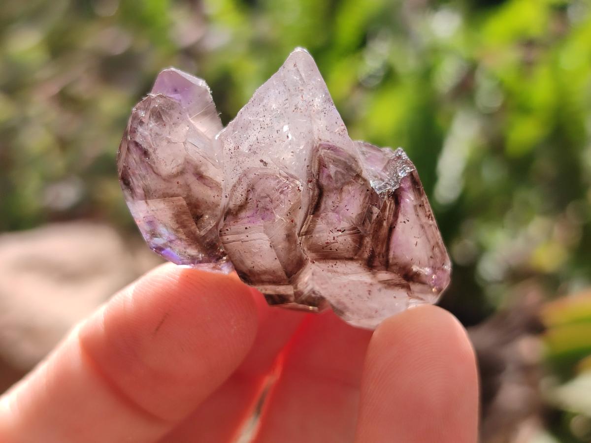 Natural Window Amethyst Crystals x 20 From Chiredzi, Zimbabwe - Toprock Gemstones and Minerals 