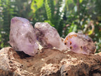 Natural Window Amethyst Crystals x 20 From Chiredzi, Zimbabwe - Toprock Gemstones and Minerals 