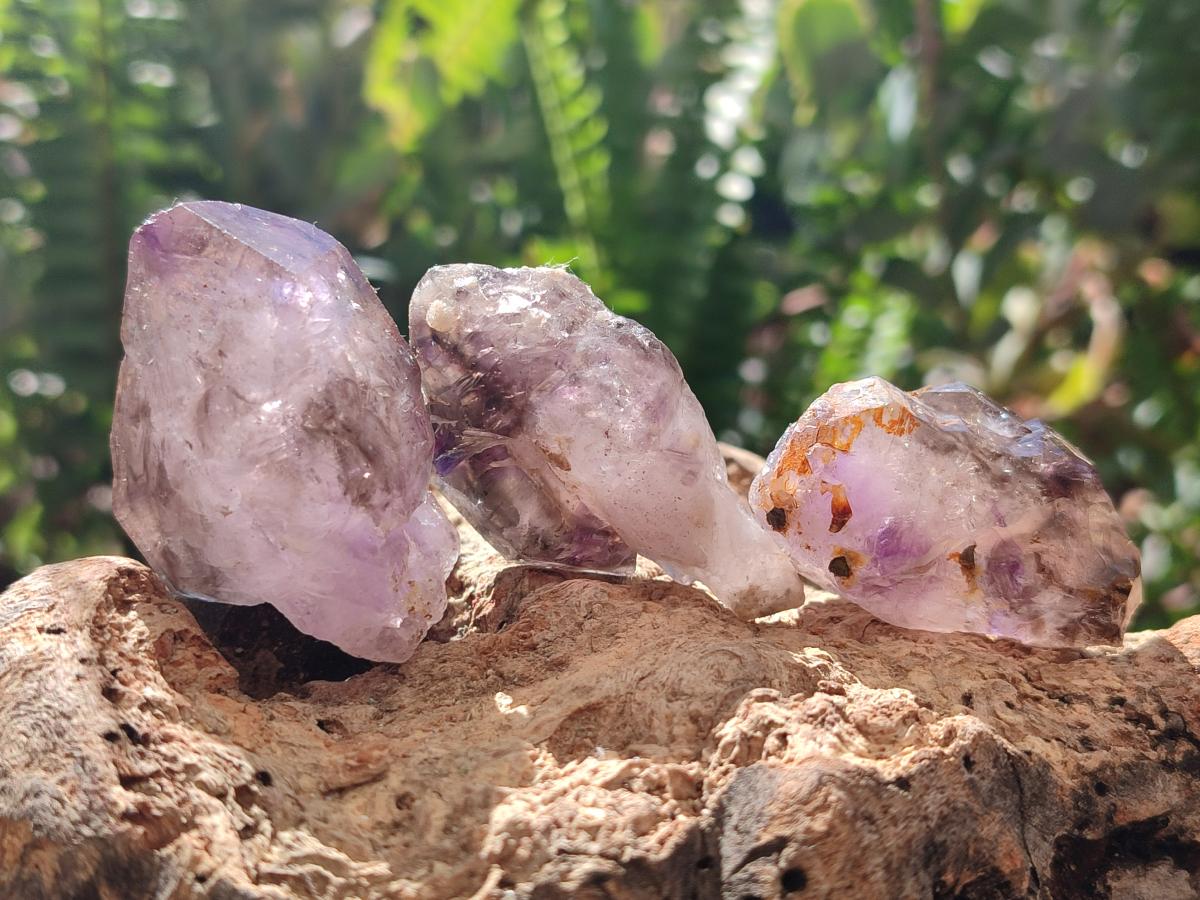 Natural Window Amethyst Crystals x 20 From Chiredzi, Zimbabwe - Toprock Gemstones and Minerals 