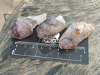 Natural Window Amethyst Crystals x 20 From Chiredzi, Zimbabwe - Toprock Gemstones and Minerals 