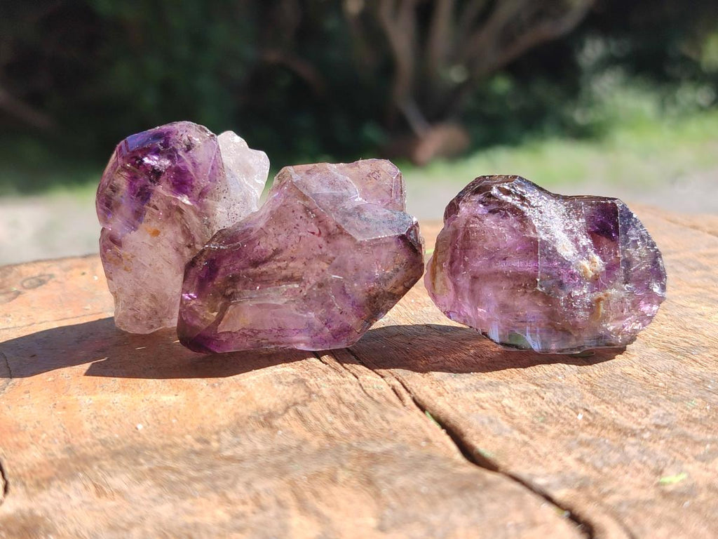 Natural Window Amethyst Crystals x 20 From Chiredzi, Zimbabwe - Toprock Gemstones and Minerals 