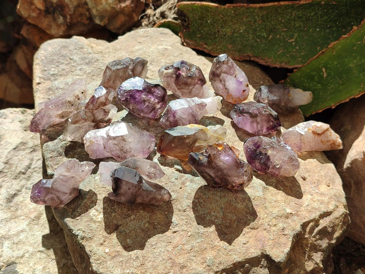 Natural Window Amethyst Crystals x 20 From Chiredzi, Zimbabwe - Toprock Gemstones and Minerals 