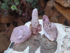 Natural Window Amethyst Crystals x 20 From Chiredzi, Zimbabwe - Toprock Gemstones and Minerals 