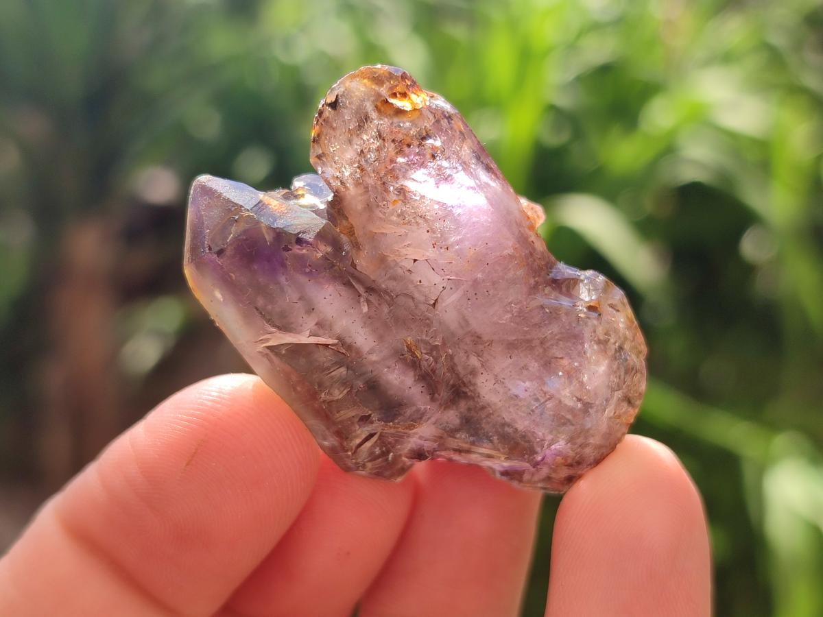 Natural Window Amethyst Crystals x 20 From Chiredzi, Zimbabwe - Toprock Gemstones and Minerals 