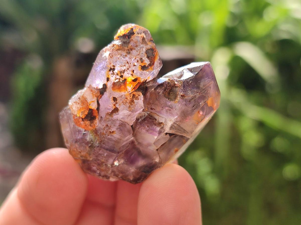 Natural Window Amethyst Crystals x 20 From Chiredzi, Zimbabwe - Toprock Gemstones and Minerals 