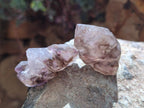 Natural Window Amethyst Crystals x 20 From Chiredzi, Zimbabwe - Toprock Gemstones and Minerals 