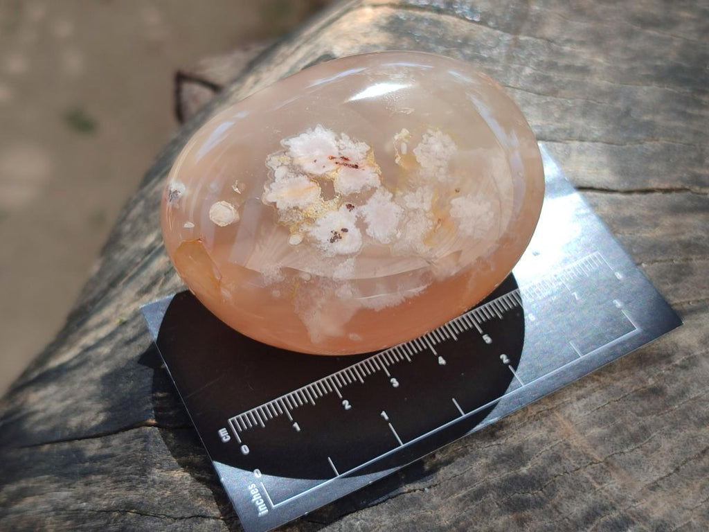 Polished Flower Agate Palm Stones x 12 From Antsahalova, Madagascar