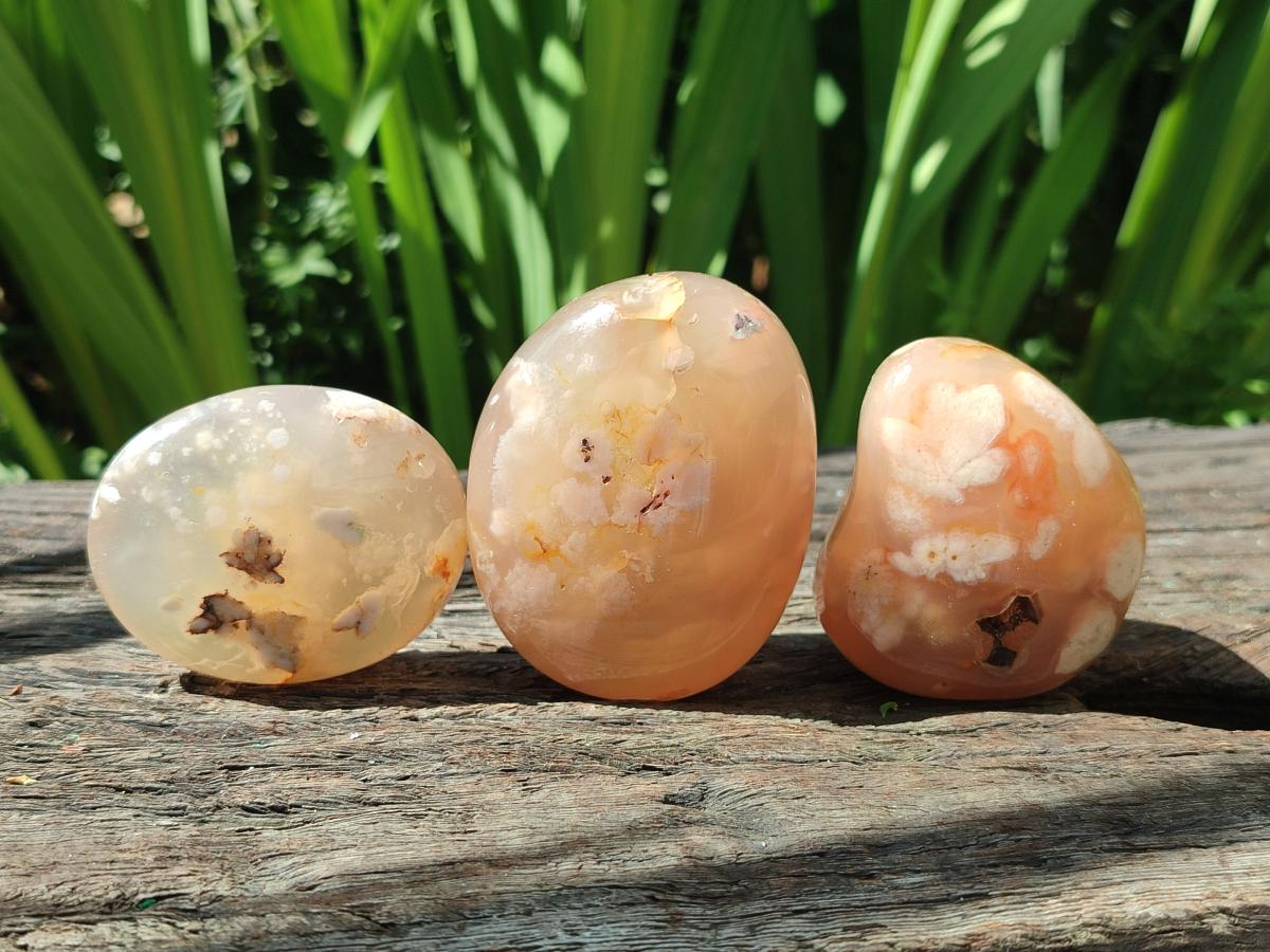 Polished Flower Agate Palm Stones x 12 From Antsahalova, Madagascar