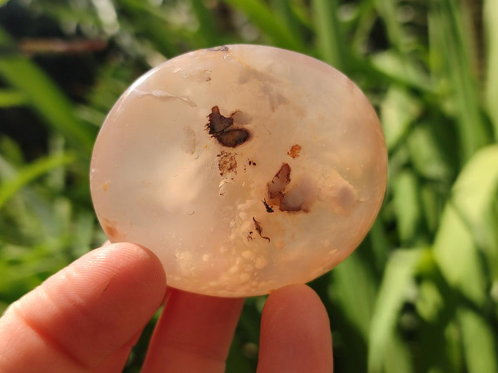 Polished Flower Agate Palm Stones x 12 From Antsahalova, Madagascar