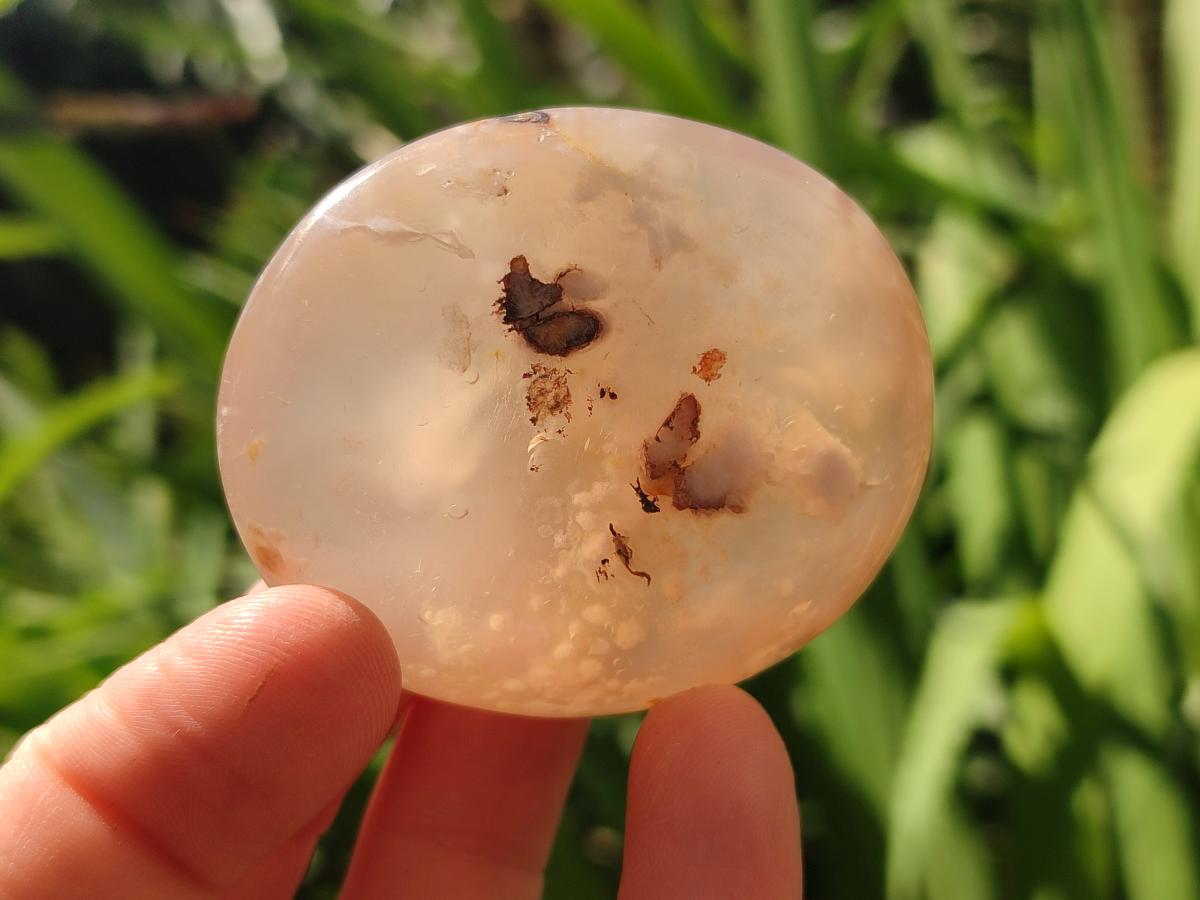 Polished Flower Agate Palm Stones x 12 From Antsahalova, Madagascar