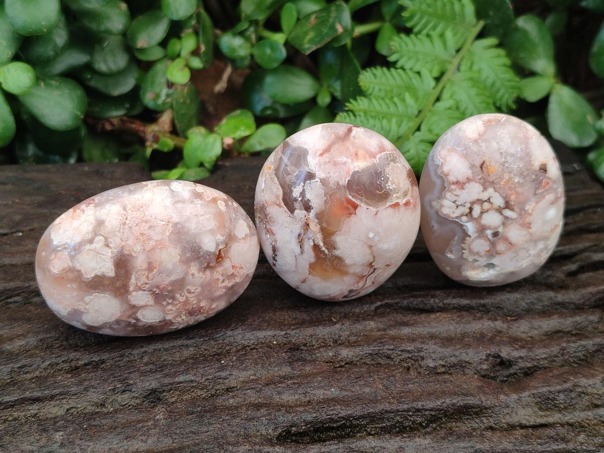 Polished Flower Agate Palm Stones x 12 From Antsahalova, Madagascar