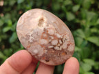 Polished Flower Agate Palm Stones x 12 From Antsahalova, Madagascar