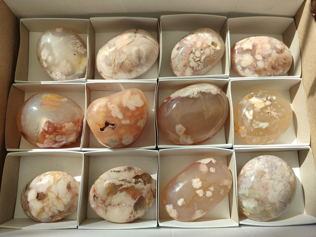 Polished Flower Agate Palm Stones x 12 From Antsahalova, Madagascar
