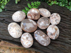 Polished Flower Agate Palm Stones x 12 From Antsahalova, Madagascar