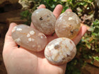 Polished Flower Agate Palm Stones x 12 From Antsahalova, Madagascar
