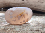 Polished Flower Agate Palm Stones x 12 From Antsahalova, Madagascar