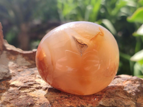 Polished Flower Agate Palm Stones x 12 From Antsahalova, Madagascar