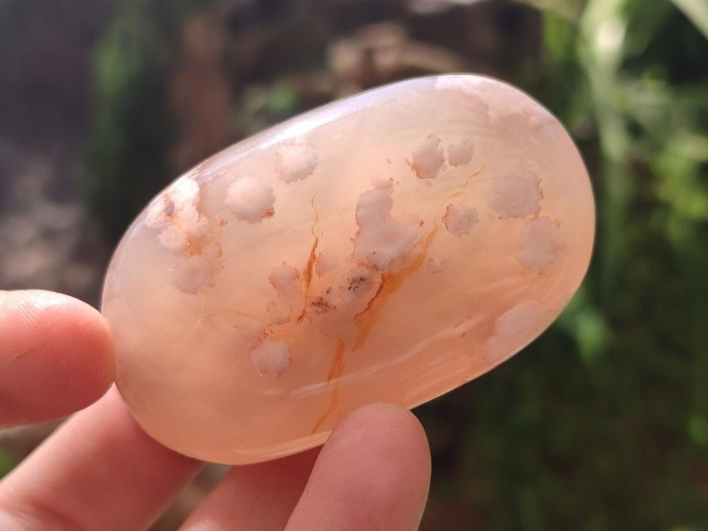 Polished Flower Agate Palm Stones x 12 From Antsahalova, Madagascar