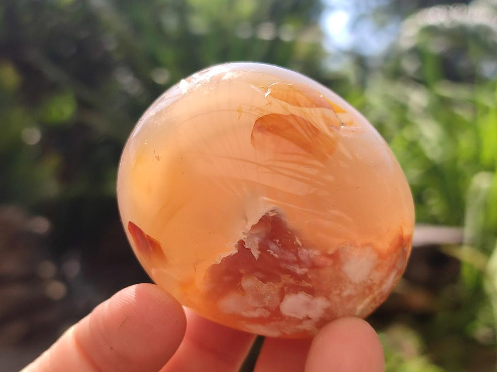 Polished Flower Agate Palm Stones x 12 From Antsahalova, Madagascar