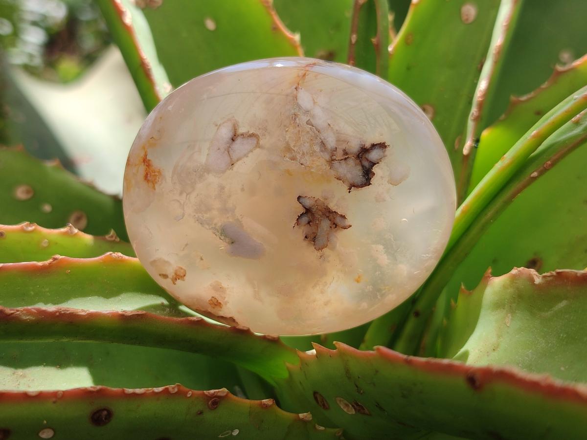 Polished Flower Agate Palm Stones x 12 From Antsahalova, Madagascar