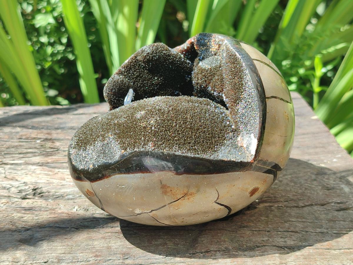 Polished Septerye Sauvage "Dragons Egg" Geodes x 2 From Mahajanga, Madagascar