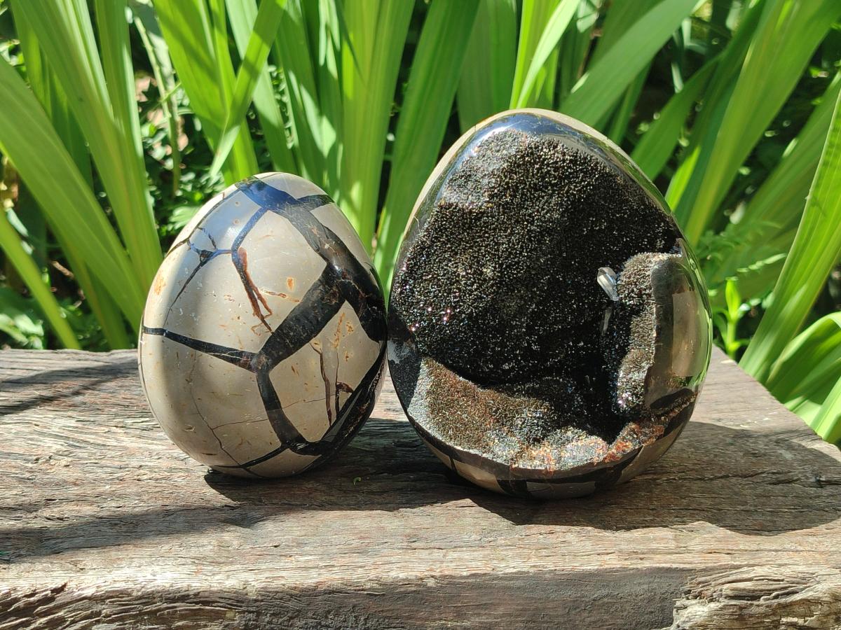 Polished Septerye Sauvage "Dragons Egg" Geodes x 2 From Mahajanga, Madagascar