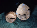 Polished Septerye Sauvage "Dragons Egg" Geodes x 2 From Mahajanga, Madagascar