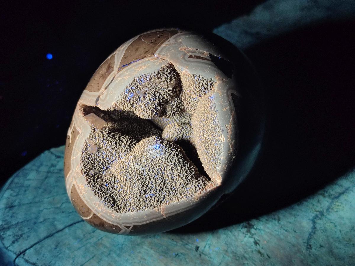 Polished Septerye Sauvage "Dragons Egg" Geodes x 2 From Mahajanga, Madagascar