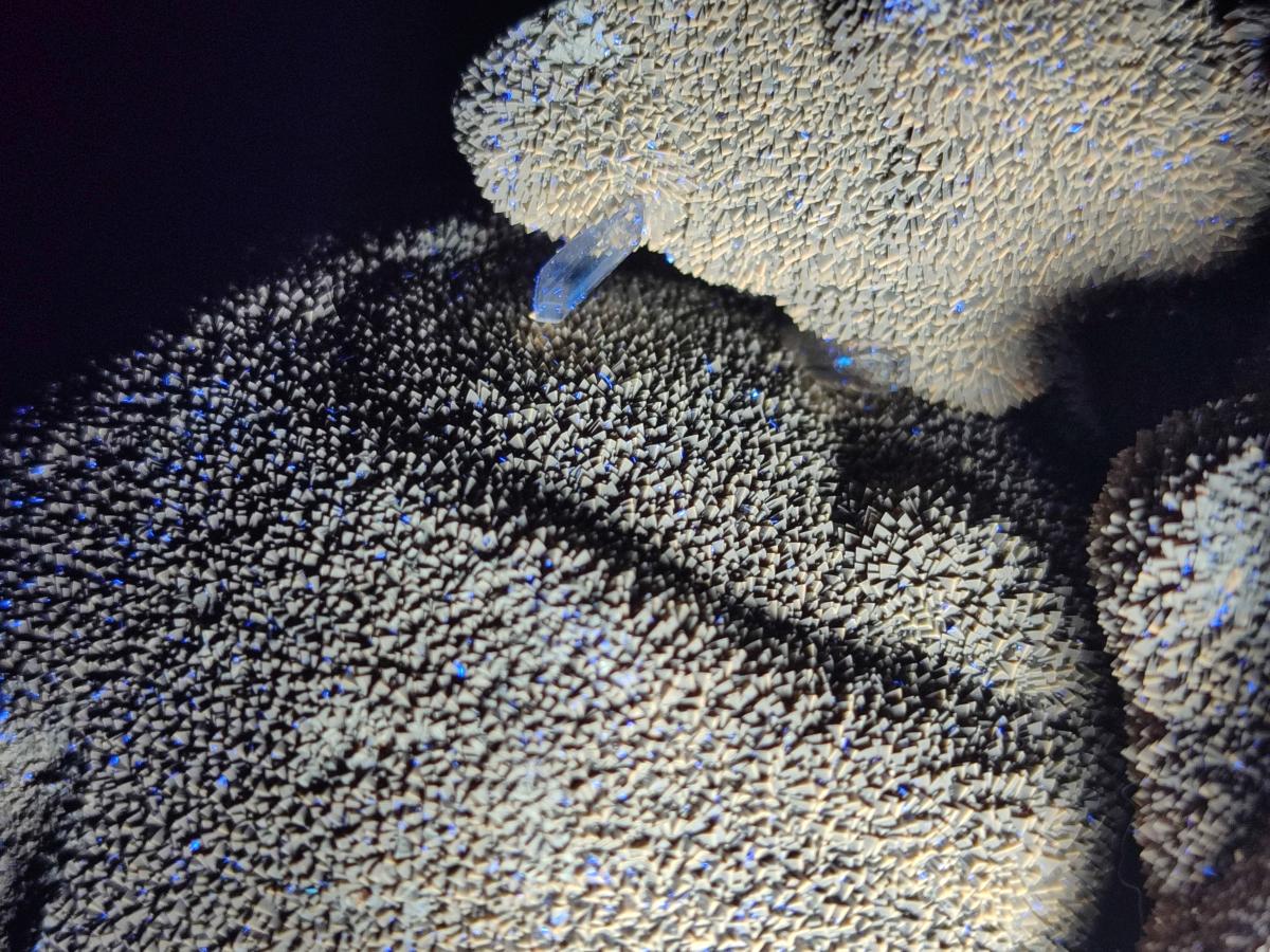 Polished Septerye Sauvage "Dragons Egg" Geodes x 2 From Mahajanga, Madagascar