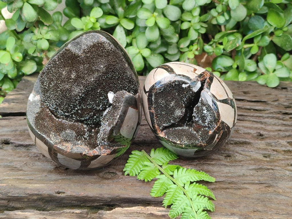 Polished Septerye Sauvage "Dragons Egg" Geodes x 2 From Mahajanga, Madagascar