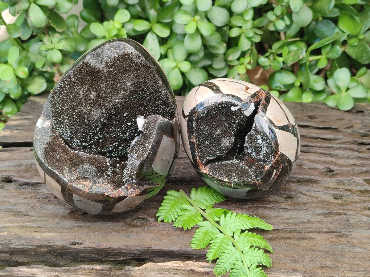 Polished Septerye Sauvage "Dragons Egg" Geodes x 2 From Mahajanga, Madagascar