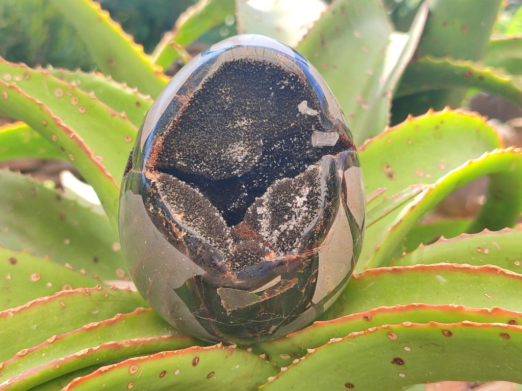 Polished Septerye Sauvage "Dragons Egg" Geodes x 2 From Mahajanga, Madagascar