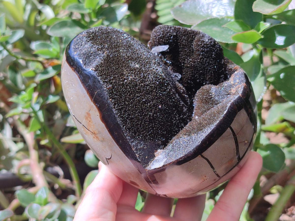 Polished Septerye Sauvage "Dragons Egg" Geodes x 2 From Mahajanga, Madagascar